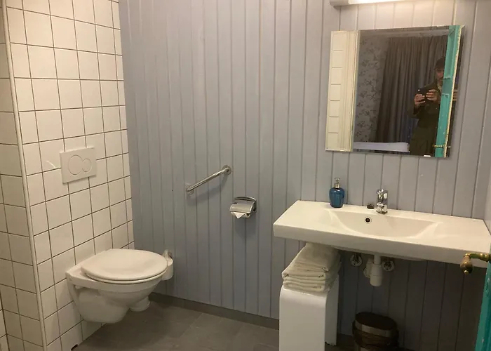 酒店 Sanden Lærdalsøyri
